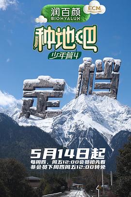 海贼王 八哥影视 热血动漫